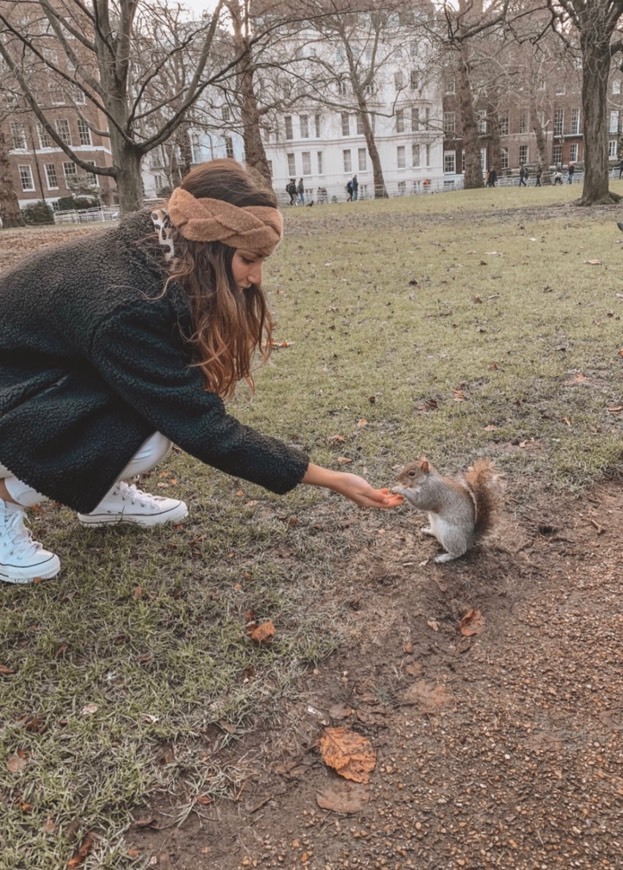 Lugar St. James's Park