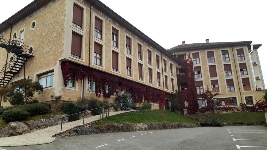 Place Hotel Los Acebos Arriondas
