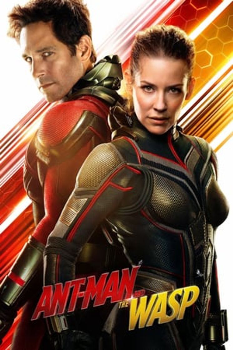 Película Ant-Man y la Avispa