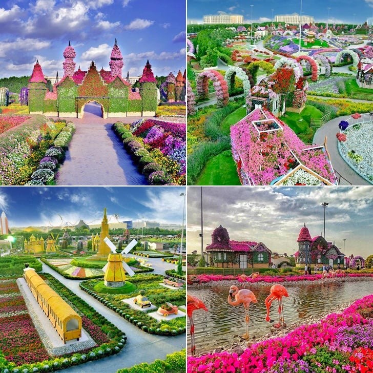 Lugar Miracle Garden