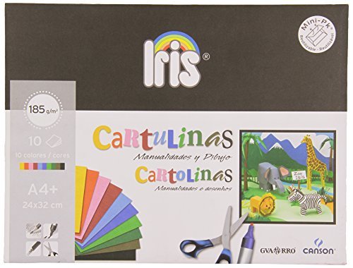Social Canson 200406282 - Pack de 10 hojas de cartulina