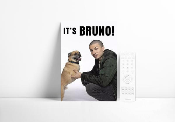 Serie Los paseos de Bruno
