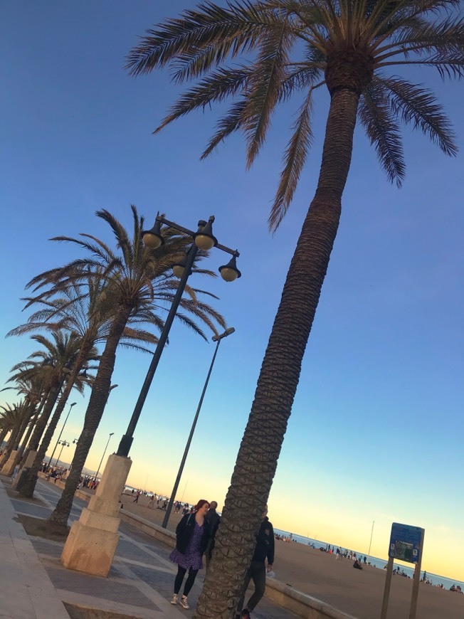 Place Playa de la Malvarrosa