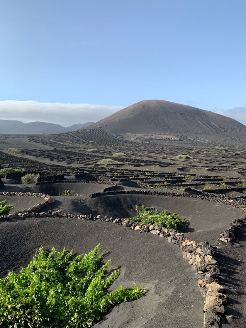 Lugar La Geria