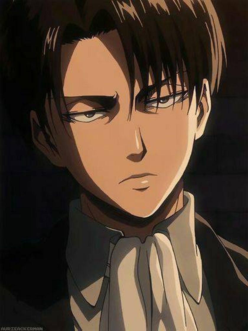 Moda Levi Ackerman