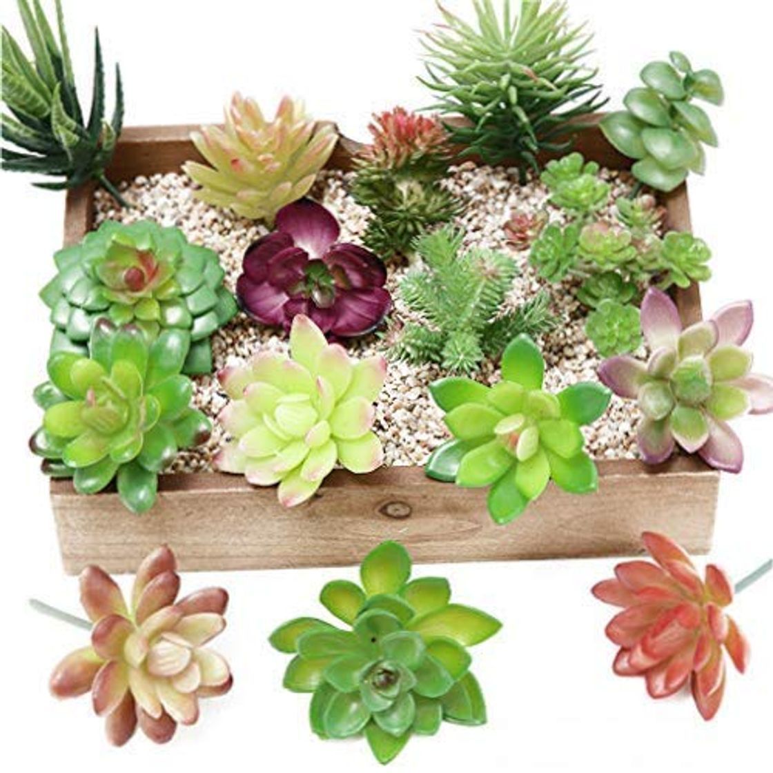 Social Chowcencen 12pcs Tipo Mezclado al Azar Planta suculenta de Falso Artificial Flores decoración Falsos Plantas suculentas Surtidos