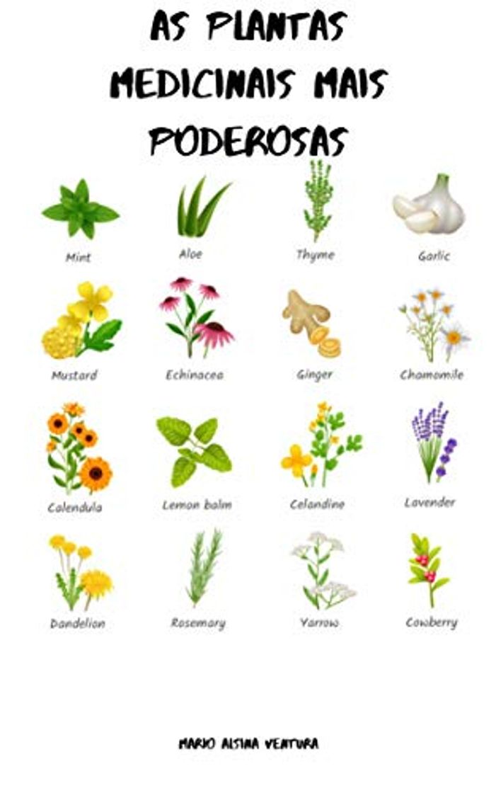 Social Plantas medicinais