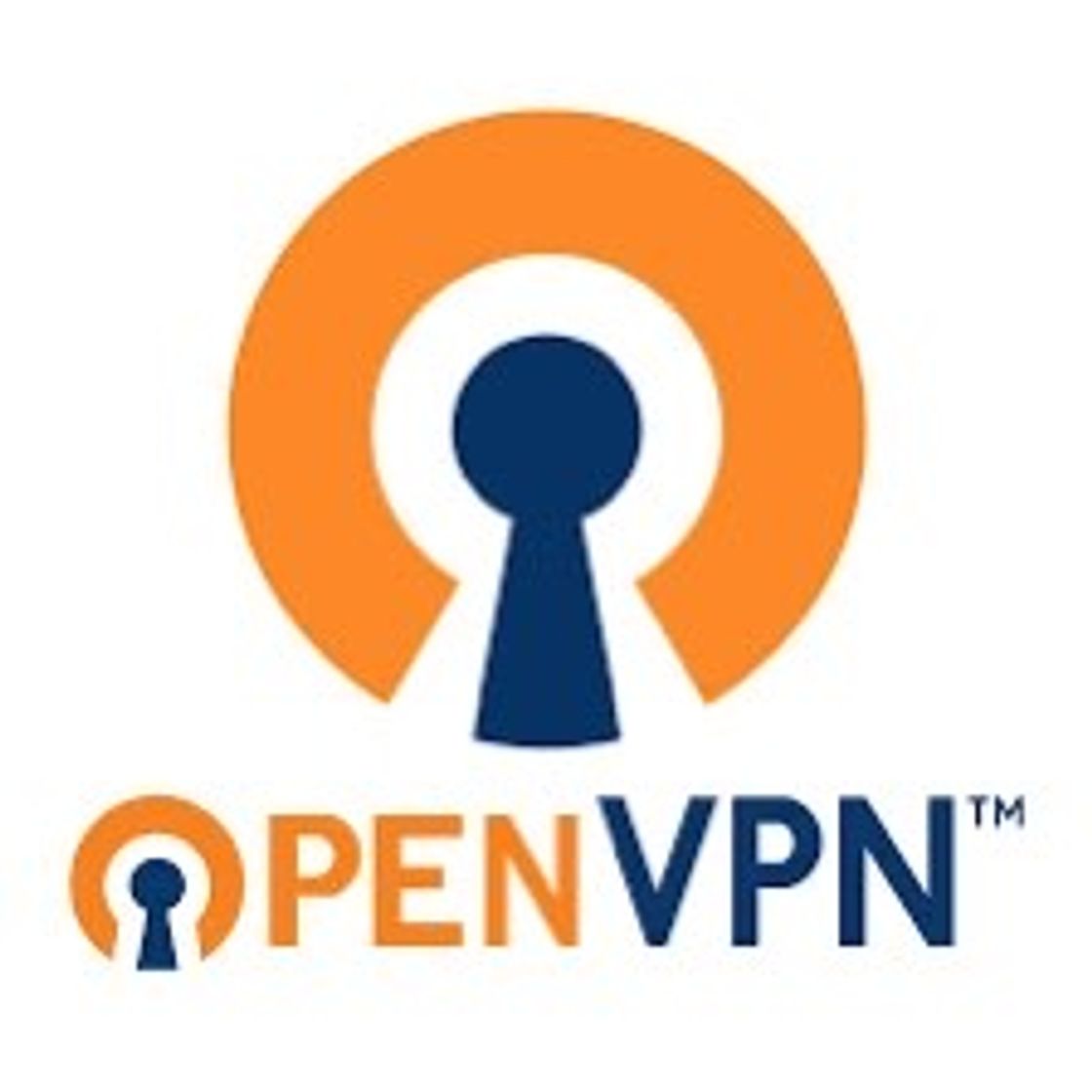 App ‎OpenVPN Connect on the App Store