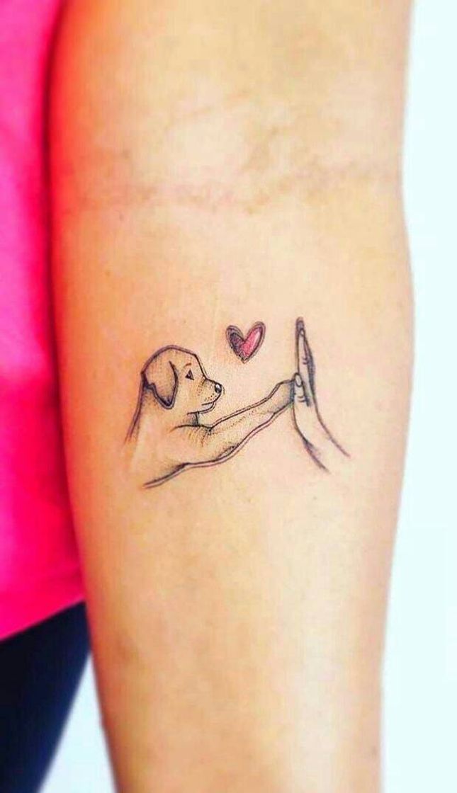 Moda Homenagem ao seu doguinho❤