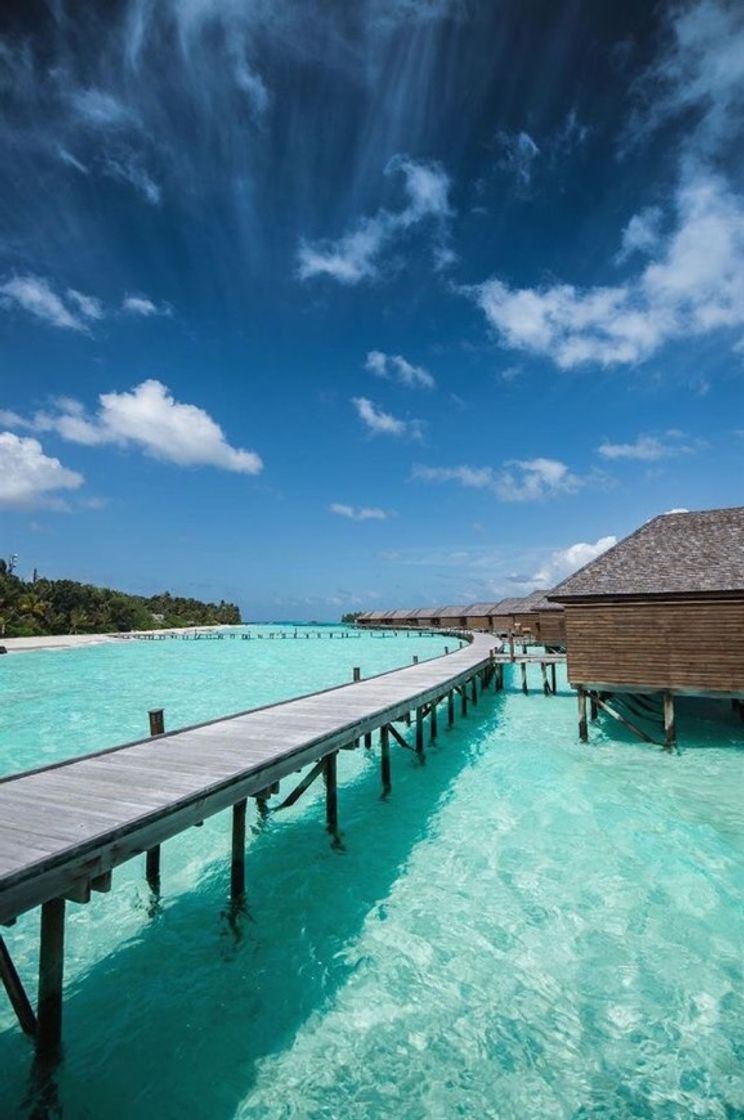 Lugar Maldive Islands