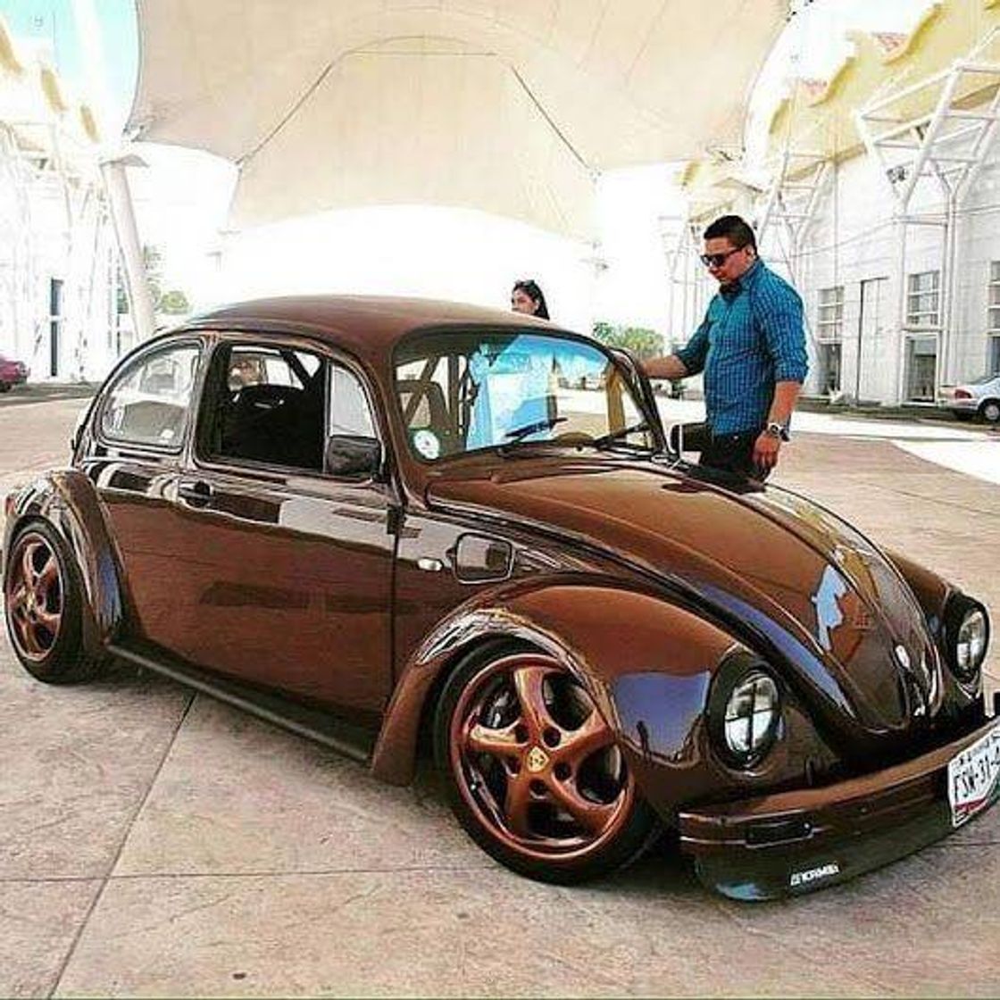 Fashion Fusca