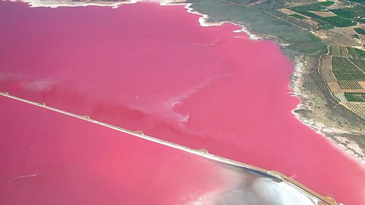 Lugar Laguna Rosa