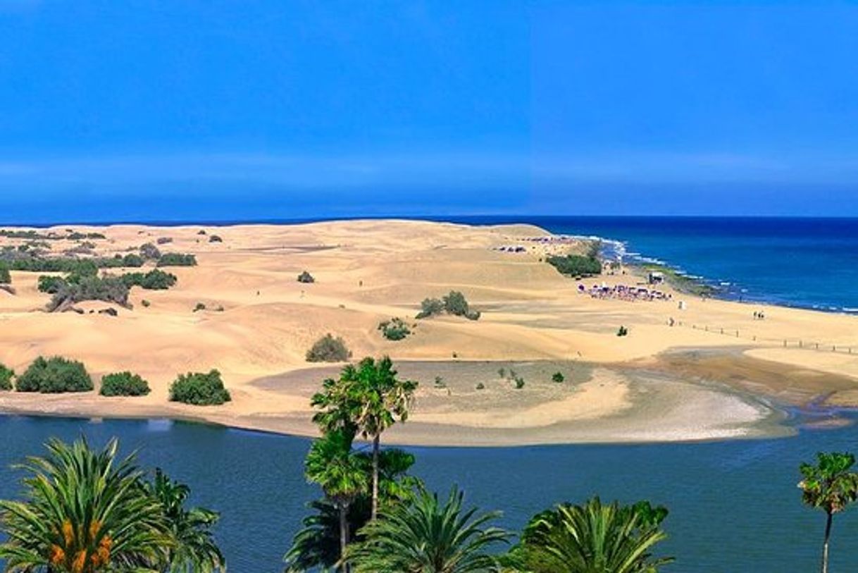 Lugar Dunas de Maspalomas