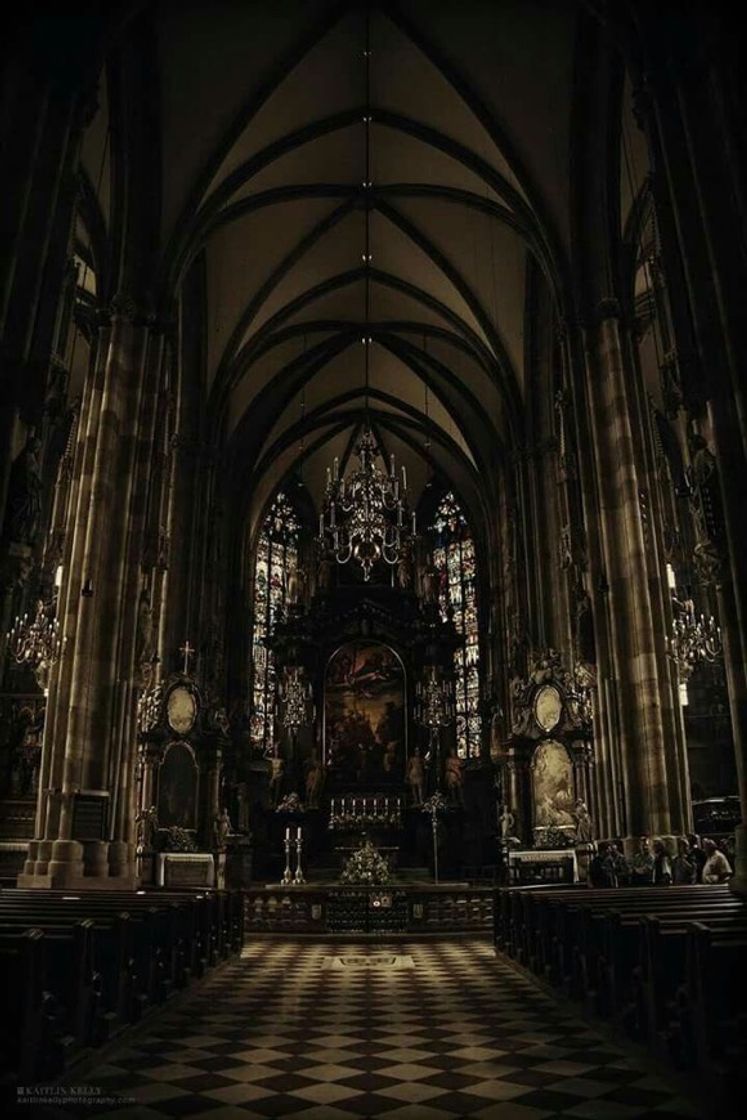Lugar Catedral de Viena