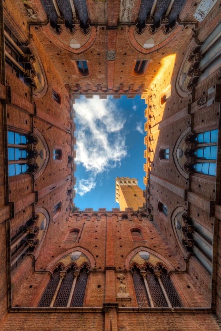 Place Torre del Mangia