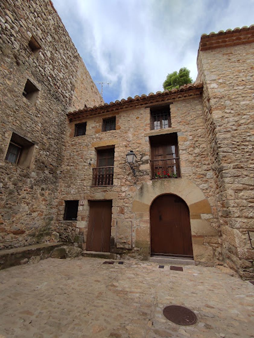 Place Plaça del Pardal