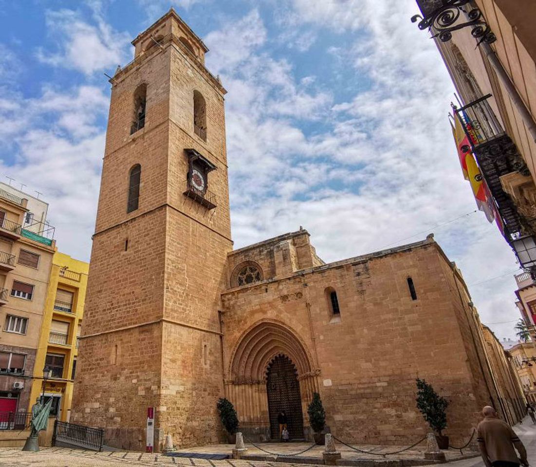 Place Catedral de Orihuela