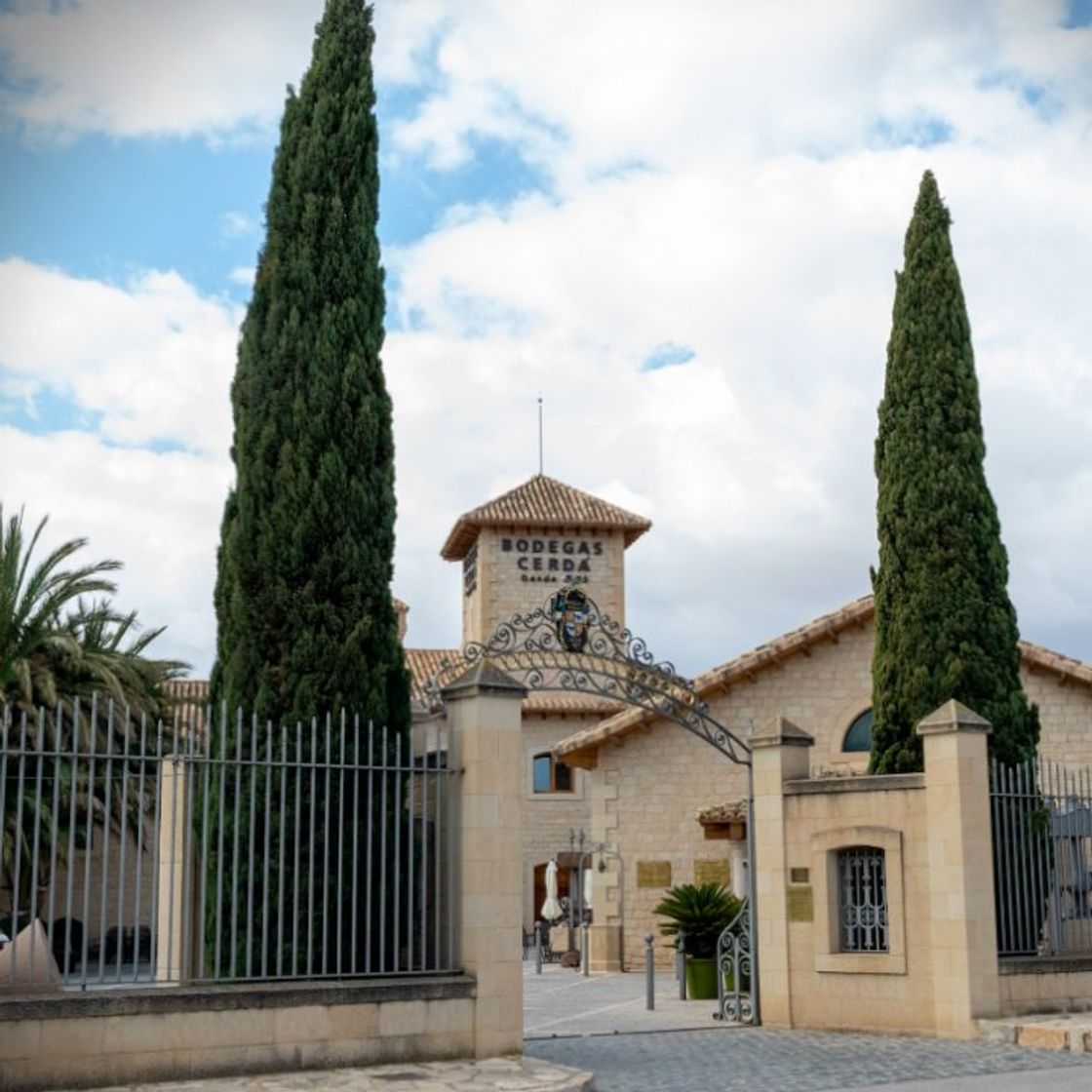 Place Bodegas Cerdà