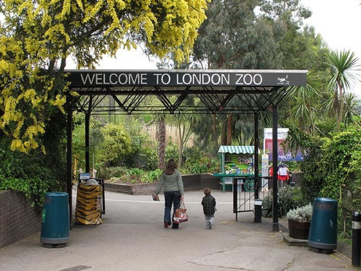 Lugar London Zoo