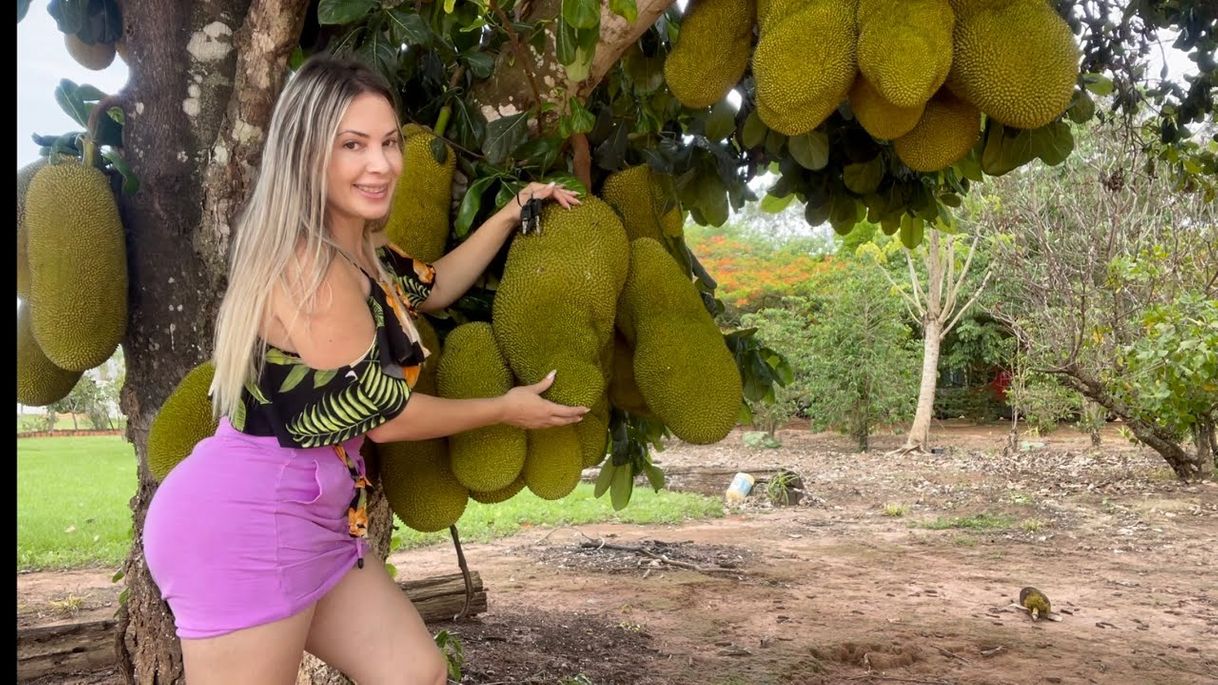 Fashion Olha essa fruta que encontrei aqui no Mato grosso nunca tinha visto ...