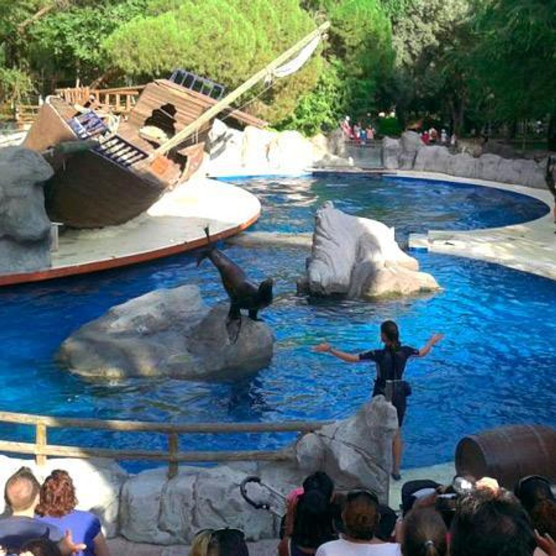 Lugar Zoo Aquarium de Madrid