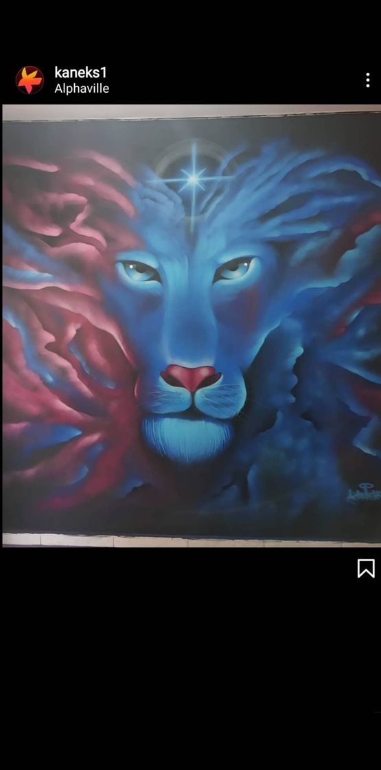 Moda Lion Graffiti