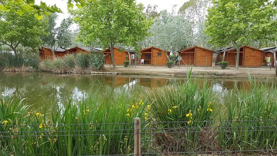 Restaurantes Camping Eucaliptus