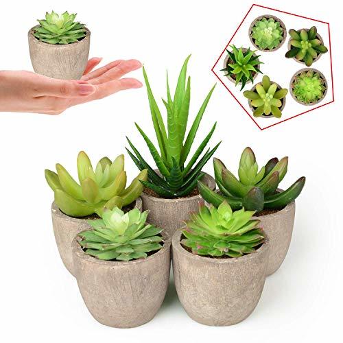 Lugar Abree Plantas Suculentas Artificiales 5PCS Jardinera Suculenta Falso Plantas de Cactus Faux