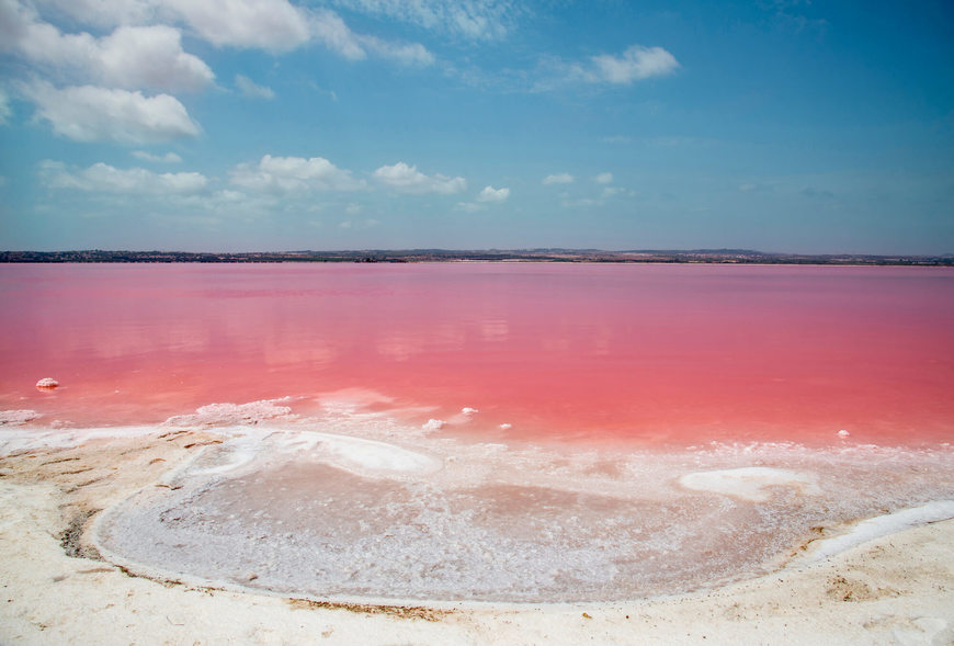 Lugares Laguna Salada de Torrevieja