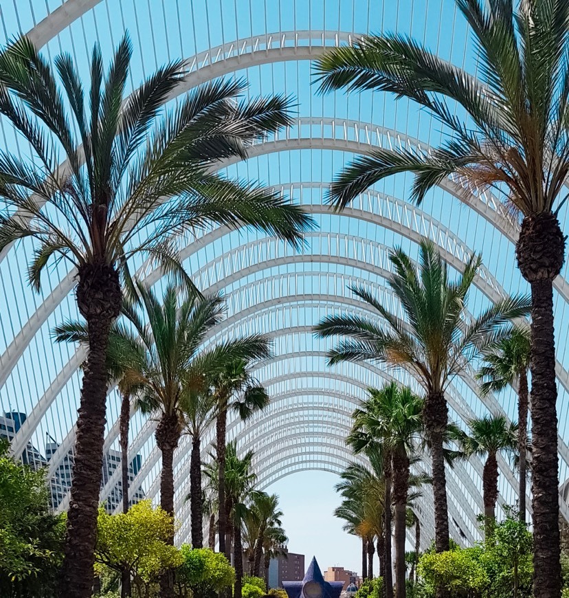 Ciudad de las Artes y las Ciencias