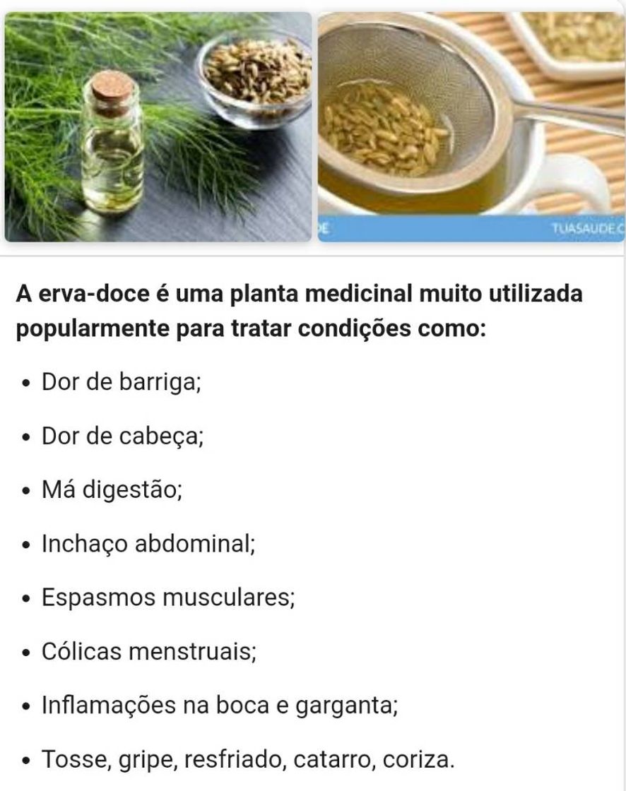 Fashion Plantas medicinais