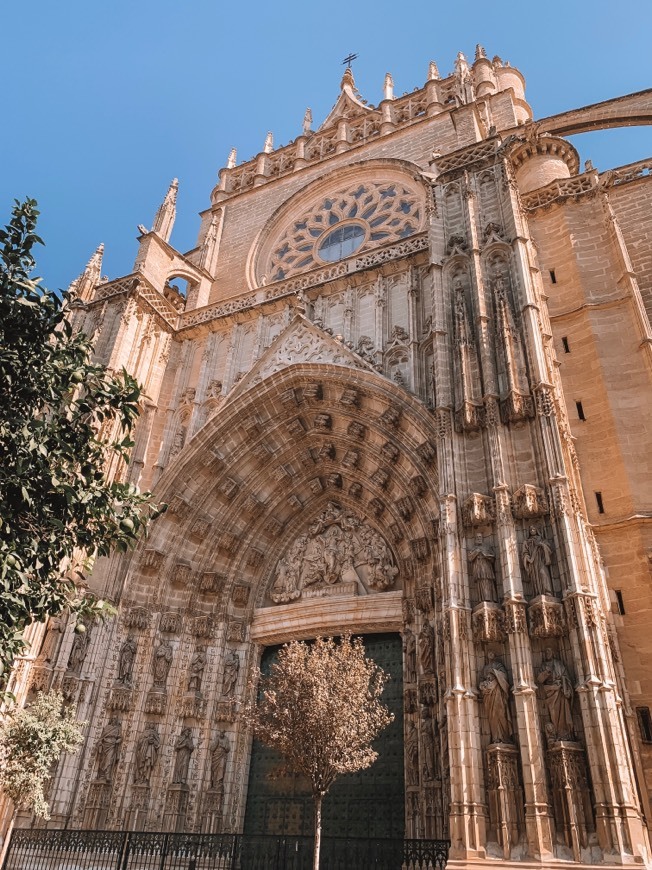 Place Catedral de Sevilla