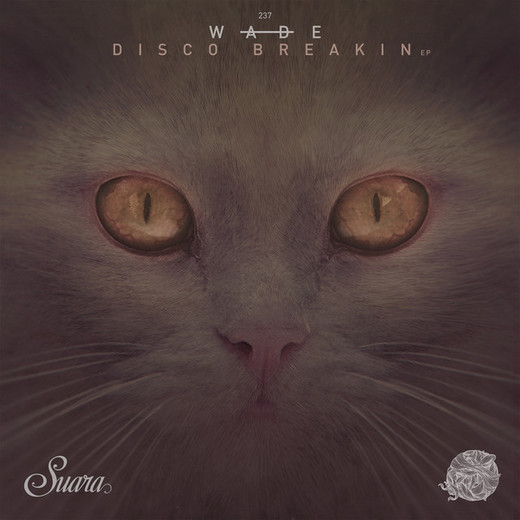 Disco Breakin - Original Mix