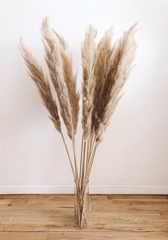 Product Pampas grass