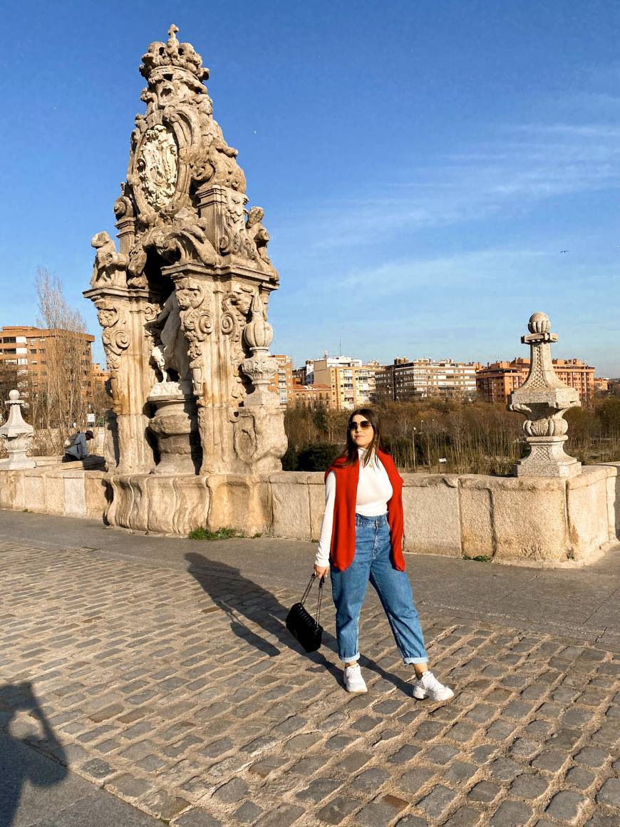 Place Puente de Toledo