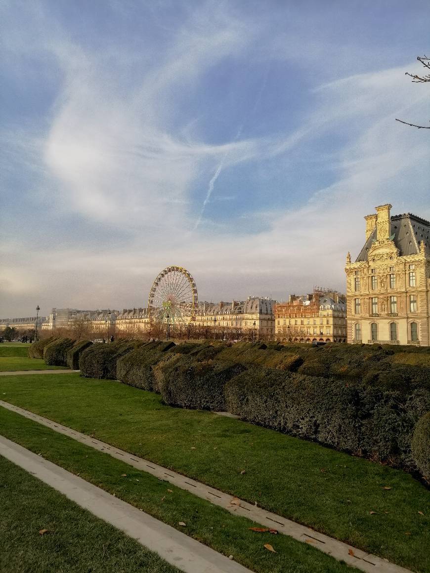 Place Jardin des Tuileries