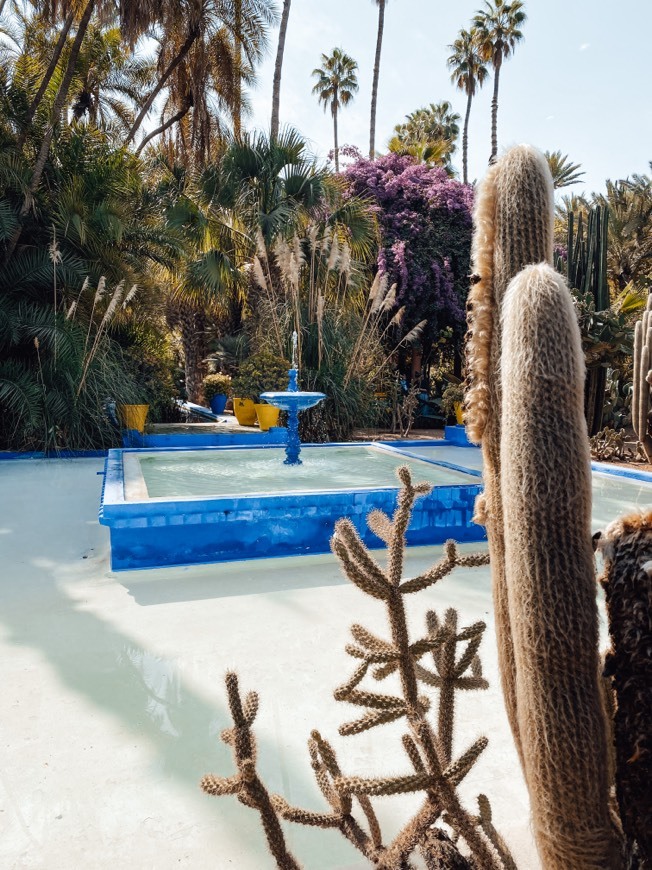 Places JARDIM MAJORELLE 