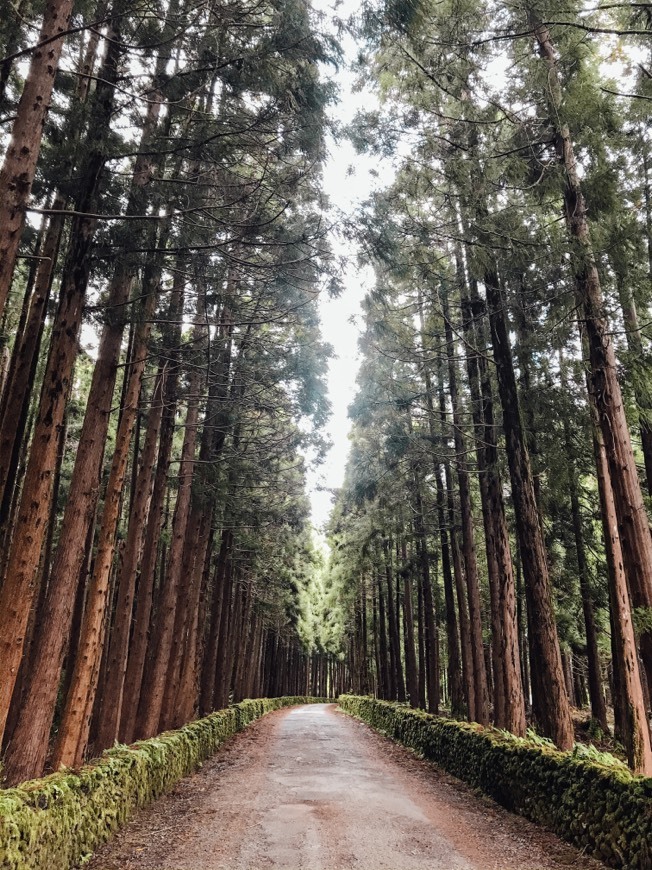 Place Ilha Terceira 