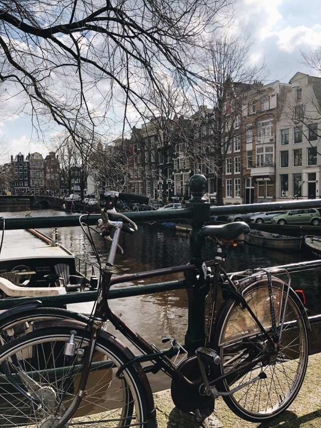 Place Canales de Ámsterdam