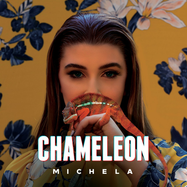 Music Chameleon