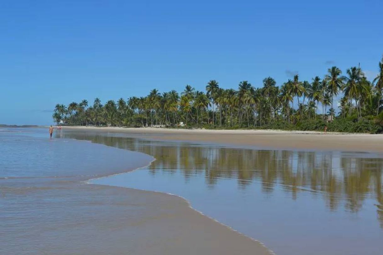 Fashion Praia do Cururupu 