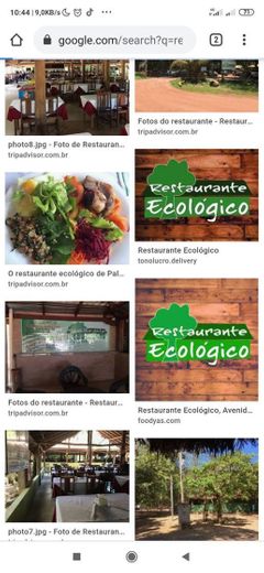 Restaurante Ecológico