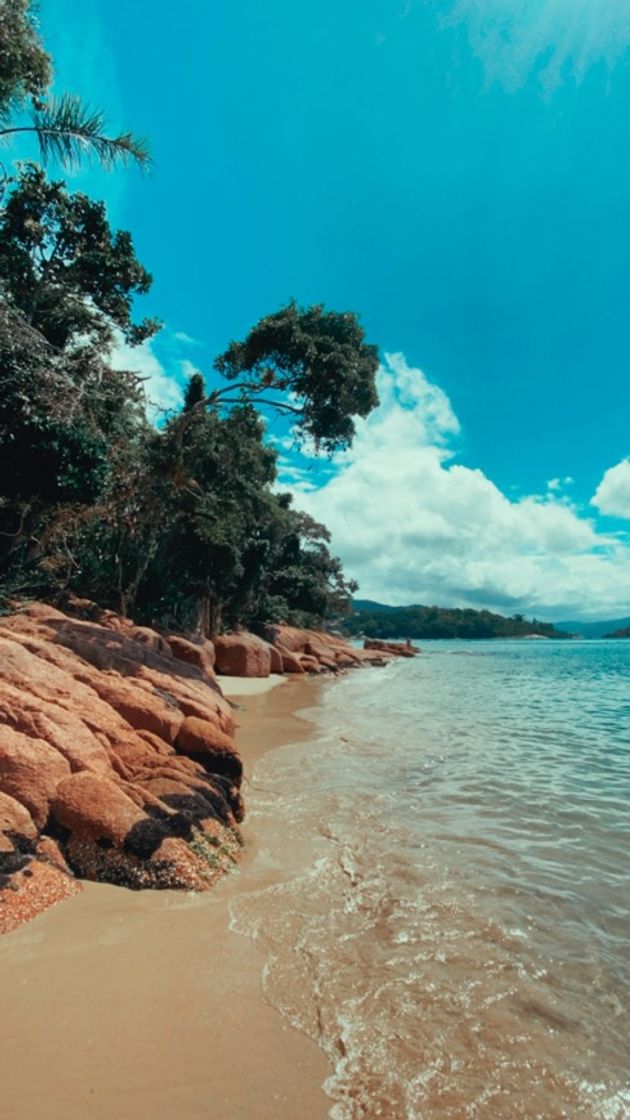 Place Praia de Ganchos de Fora