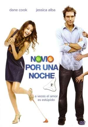 Movie Novio por una noche