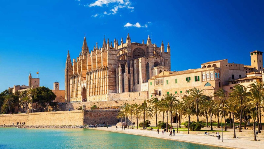 Lugar Catedral-Basílica de Santa María de Mallorca