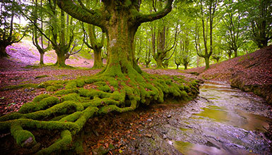 Place Gorbea