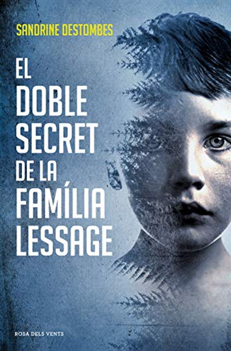 Book El doble secret de la família Lessage