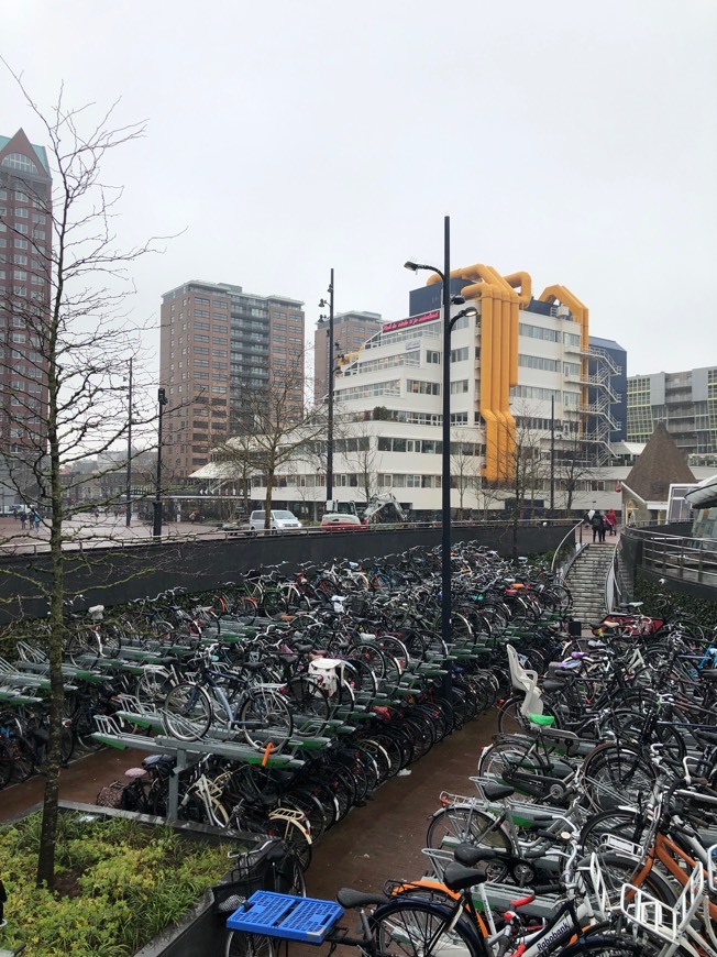 Lugar Central Library Rotterdam