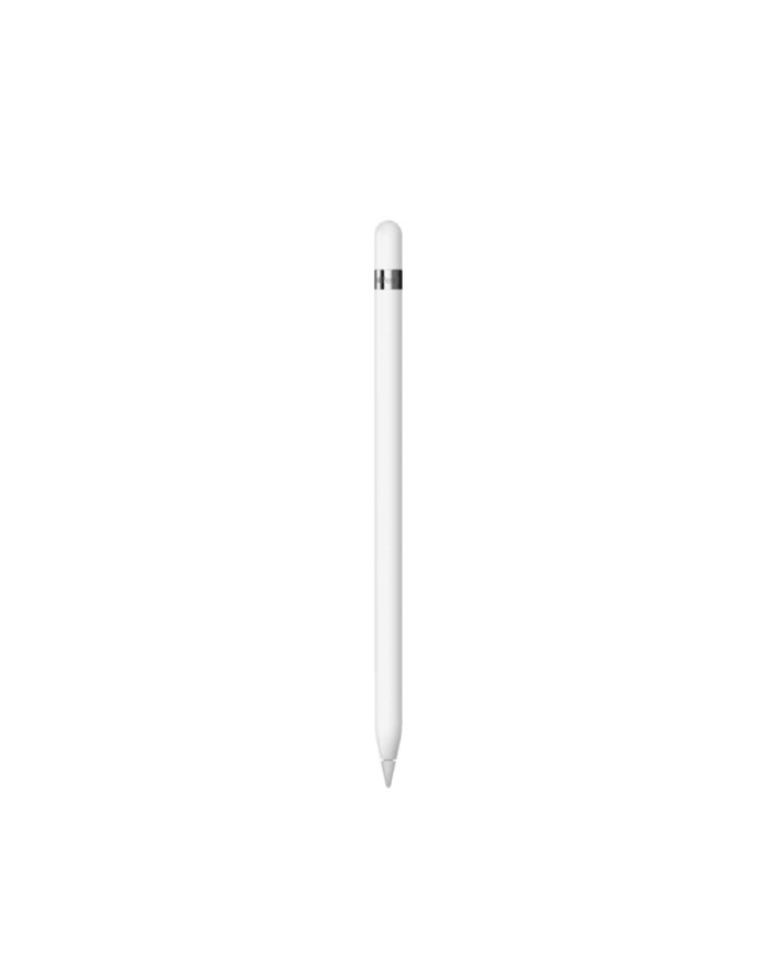 Fashion Apple Pencil