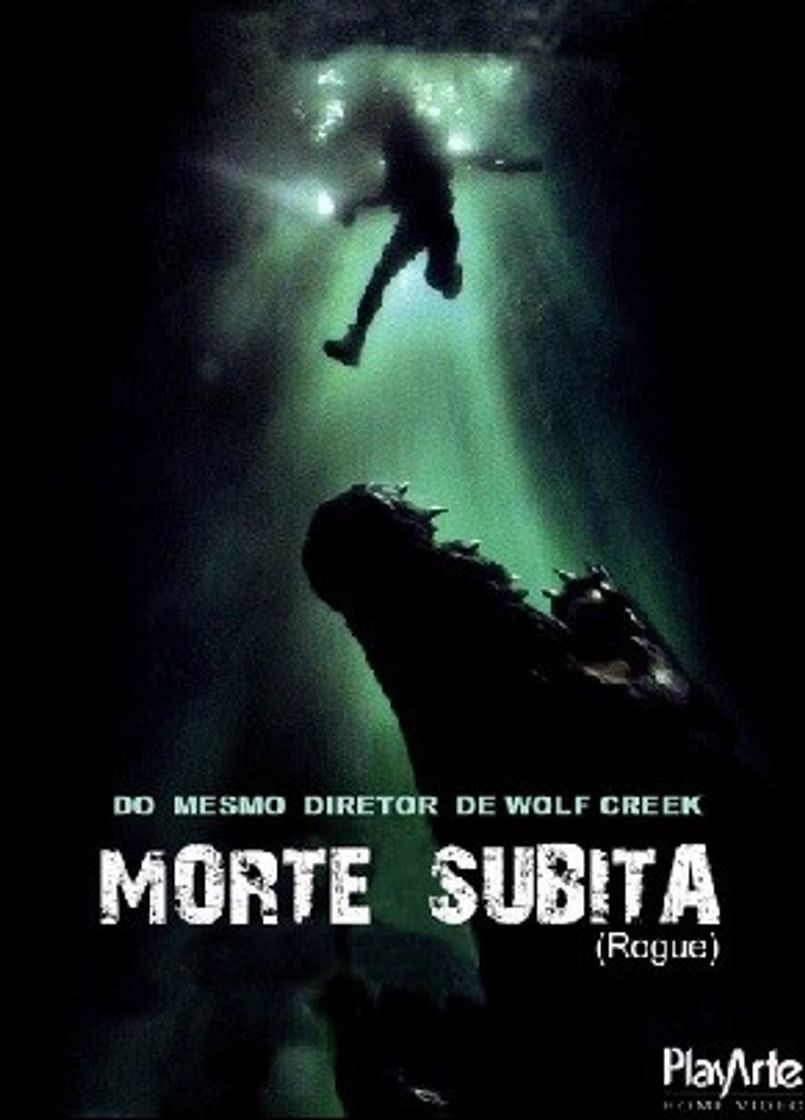Social Rogue - Morte Súbita Filme de Terror em HD 
